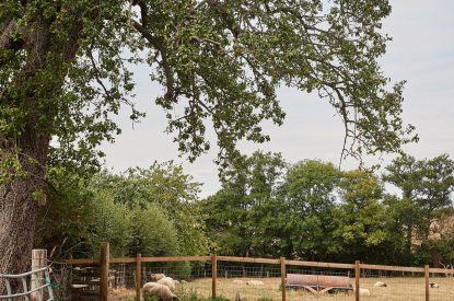 The farm views at The Hangout Hut, Worcestershire 