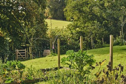 The grounds at Roupel East Wing, Devon