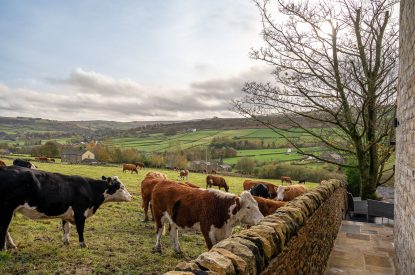 The surrounding countryside at The Lee, Yorkshire