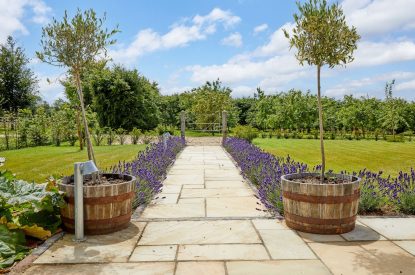 The lavender lined pathway at Milk Barn, Cotswolds