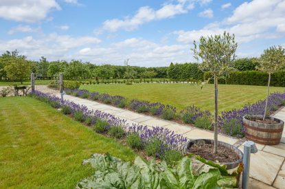 The lavender lined pathway at Milk Barn, Cotswolds
