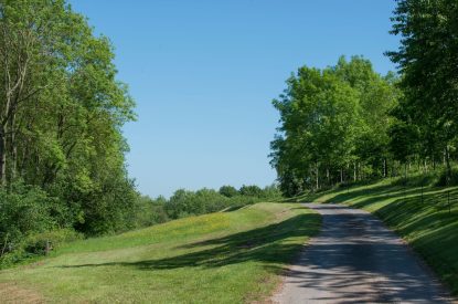 The grounds at Wood Cottage, Worcestershire