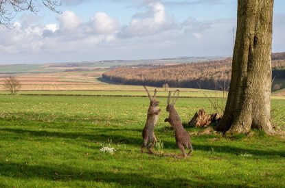The countryside surrounding at Cowdale Cottage, Yorkshire