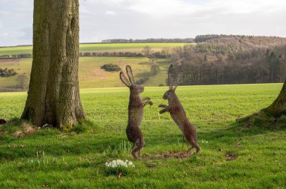 The countryside at Rabbitdale Barn, Yorkshire