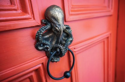 The front door at 5 The Quay, Devon