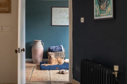 A dog lying on its bed at Flax Manor, Somerset