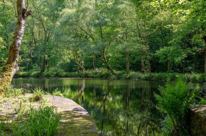 The river by Meadow Barn, Yorkshire