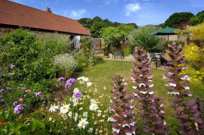 Flower in the garden at Exmoor Barn, Somerset
