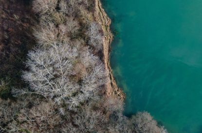 The sea and woodland at Brickworks and Vines, Isle of Wight