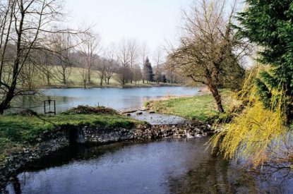 The river near to Brightwaters Stables, Hampshire