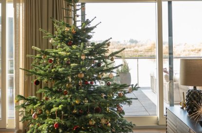 Christmas at Alder Grand Suite, Cotswolds