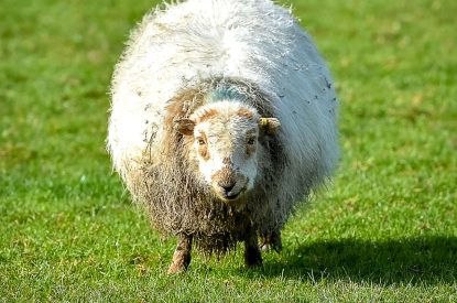 The local area at Y Wenffrwd, Abersoch