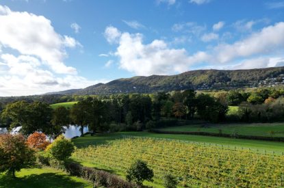 Vineyard views at The Vineyard Lake House, Malvern Hills