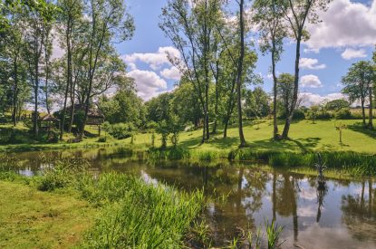 Woodland at Stargazer, Malvern Hills