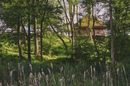 The outdoor space at Nature's Nest, Malvern Hills