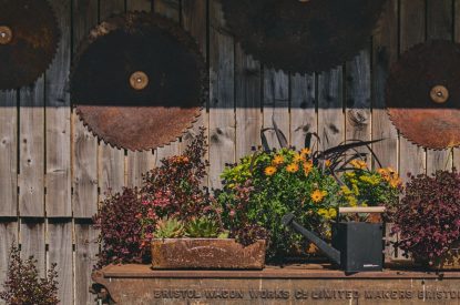 The grounds at The Cowshed, Somerset