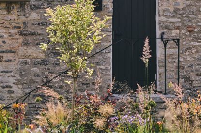 The gardens at Somerset Estate, Glastonbury, Somerset