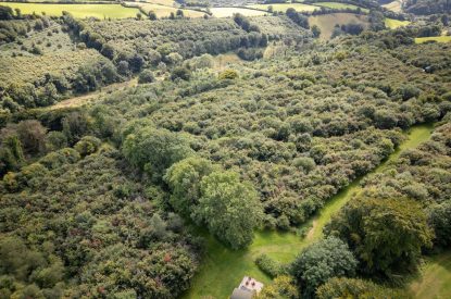 Aerial view of Red Deer Escape, Somerset