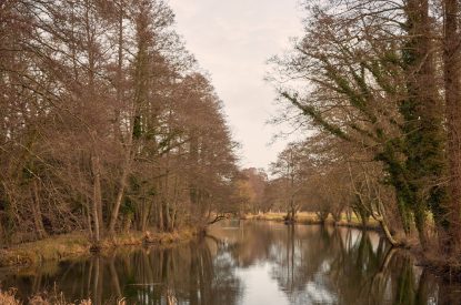 Lake views at Edgewater House, Hampshire