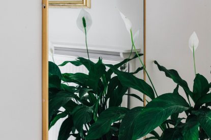 A bedroom at Katsura House, Cotswolds