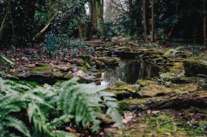 The gardens at Katsura House, Cotswolds
