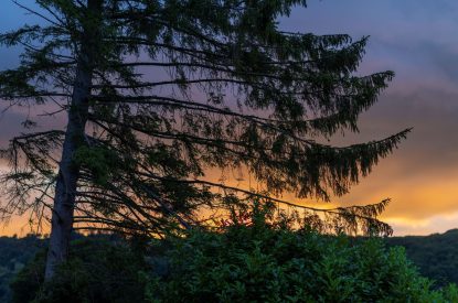 Sunset at Cedar Lodge, Herefordshire