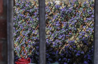 View to the outdoor space at Heartview Cottage, Cotswolds