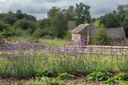 The gardens at Kingfisher Forge, Shropshire