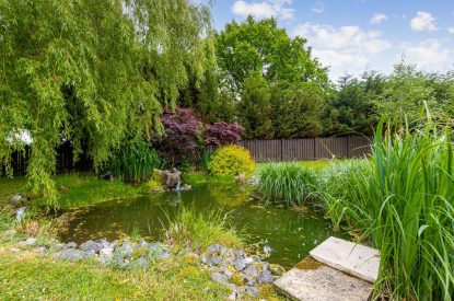 The pond at Broadridge Manor, Devon