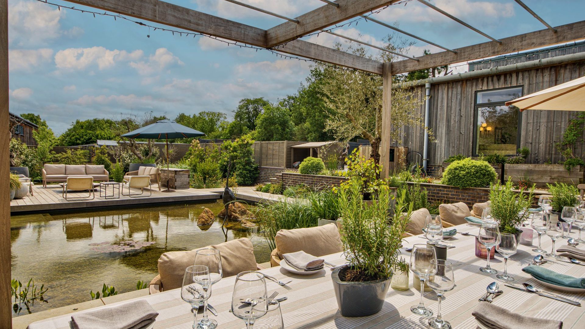 Olive Orchard, Cotswolds