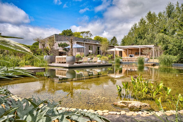 Olive Orchard, Cotswolds