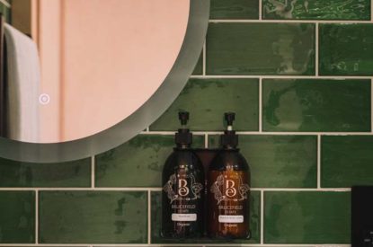 The bathroom at Ermine, Scotland