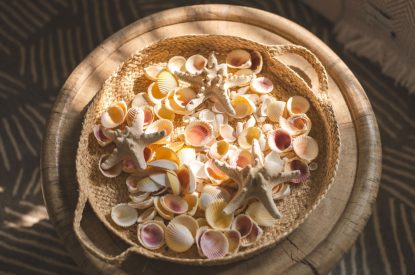 The living room at Coral House, Dorset
