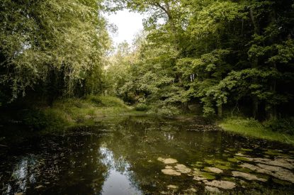 The pond at Halo House, Cotswolds