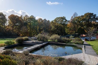 The pond at Southwoods, Hampshire