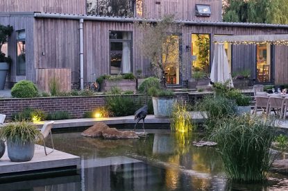 The natural swimming pond at Olive Orchard, Cotswolds