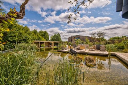 The natural swimming pond at Olive Orchard, Cotswolds