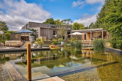The natural swimming pond at Olive Orchard, Cotswolds