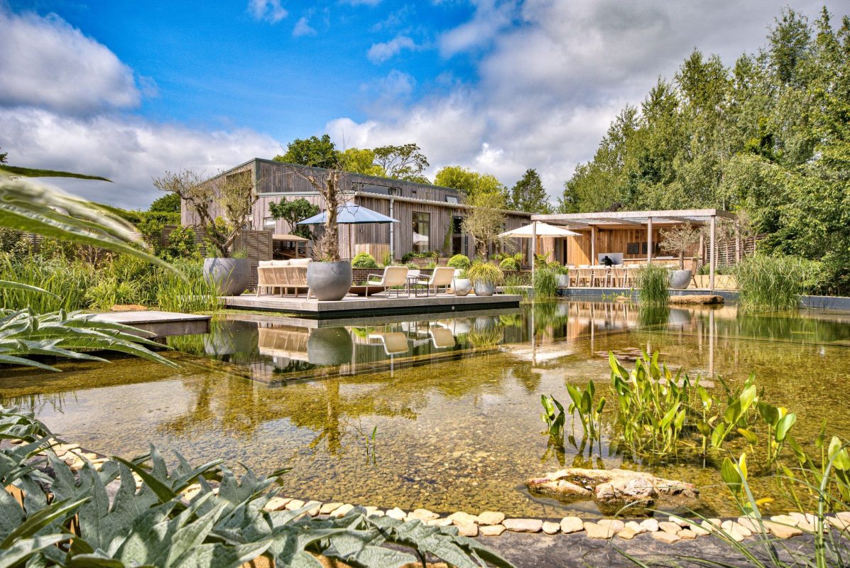 The natural swimming pond at Olive Orchard, Cotswolds