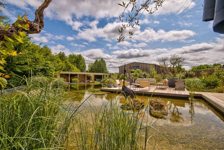 Olive Orchard, Cotswolds