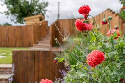 The garden at Poppy Cottage, Somerset