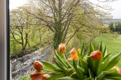 Countryside views at Upper Riverside Mill, Lake District