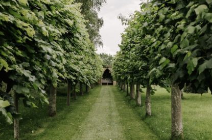 The gardens at Topiary Hall, Lincolnshire