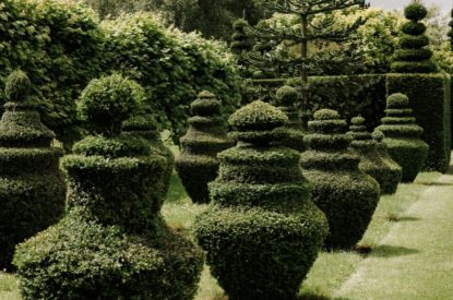 The topiary garden at Topiary Hall, Lincolnshire