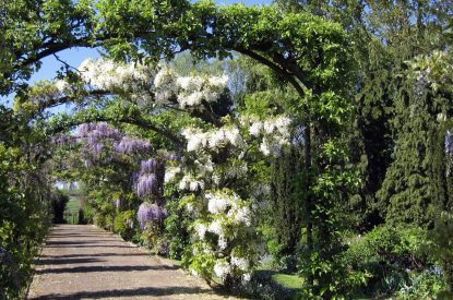 The gardens at Byron Cottage, Cotswolds