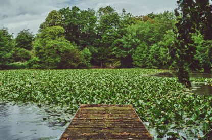 The dock leading over the lake at Osborne Lodge, Herefordshire