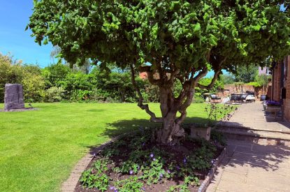The garden at Lapworth Barn, Warwickshire