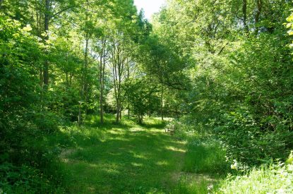 The grounds at The Old Mill, Worcestershire