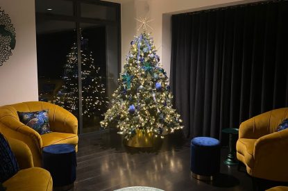 Christmas at Reservoir View, Somerset