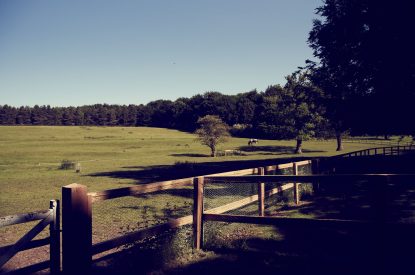 Countryside views at Spring House, Norfolk
